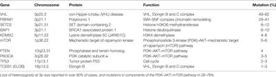 Renal Cell Carcinoma in von Hippel–Lindau Disease—From Tumor Genetics to Novel Therapeutic Strategies